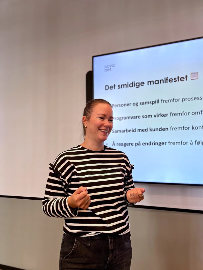 Vibeke - Hva er greia med smidig?